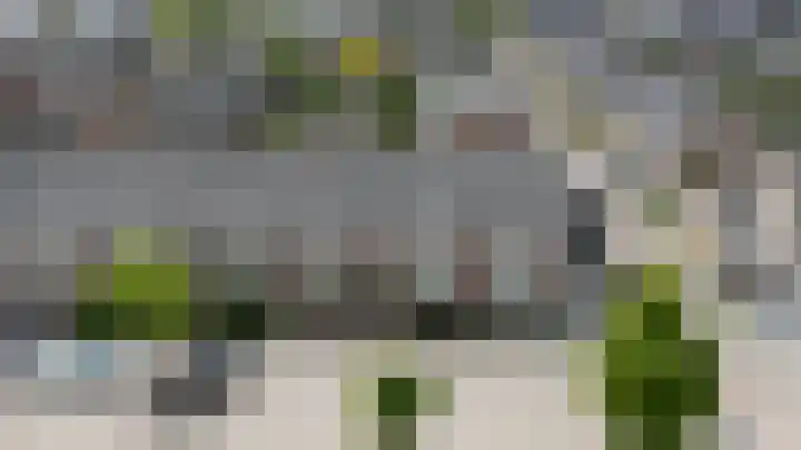 Costa Ricastraat 71 Alphen aan den Rijn thumbnail 7