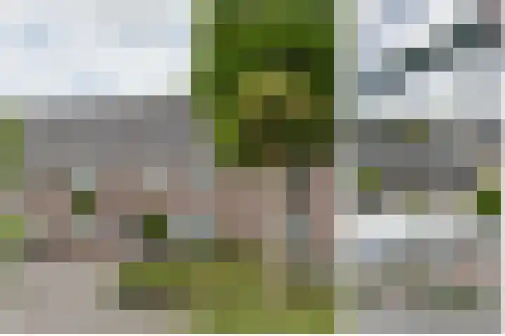 Costa Ricastraat 71 Alphen aan den Rijn thumbnail 8