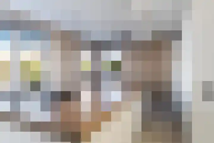 Costa Ricastraat 9 Alphen aan den Rijn thumbnail 13