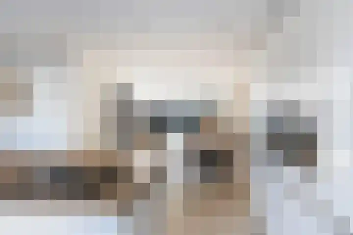 Costa Ricastraat 9 Alphen aan den Rijn thumbnail 16