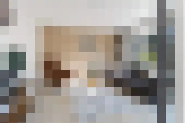 Costa Ricastraat 9 Alphen aan den Rijn thumbnail 22