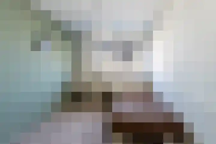 Costa Ricastraat 9 Alphen aan den Rijn thumbnail 30