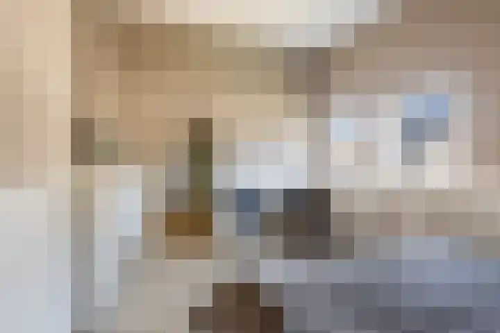Costa Ricastraat 9 Alphen aan den Rijn thumbnail 38