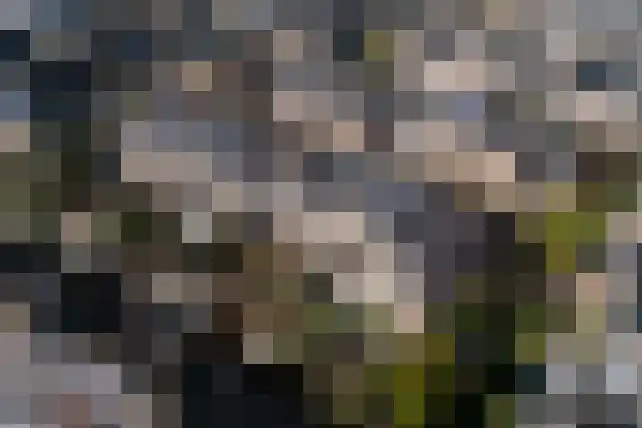 Costa Ricastraat 9 Alphen aan den Rijn thumbnail 51