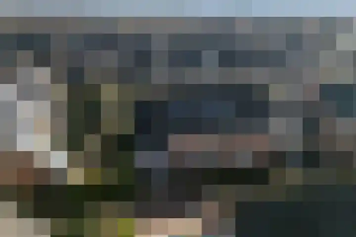 Costa Ricastraat 9 Alphen aan den Rijn thumbnail 52
