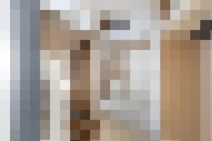 Costa Ricastraat 9 Alphen aan den Rijn thumbnail 8