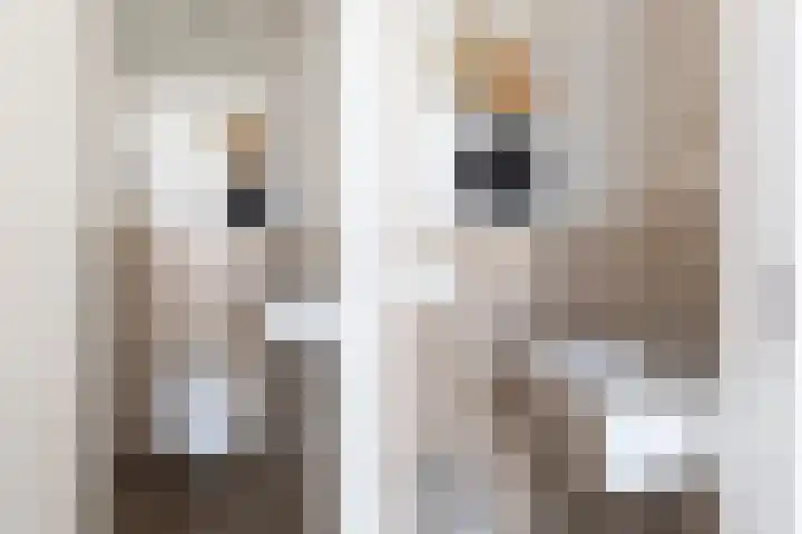 Costa Ricastraat 9 Alphen aan den Rijn thumbnail 9