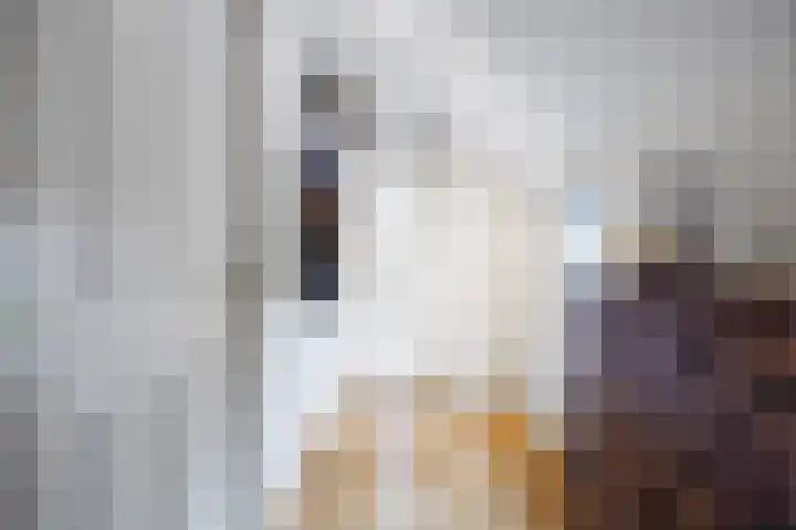 Costerijweg 2 Siddeburen thumbnail 10