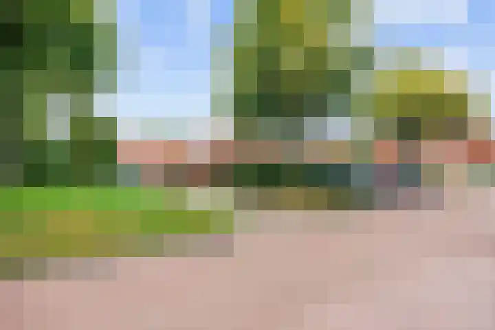 Costerijweg 2 Siddeburen thumbnail 4