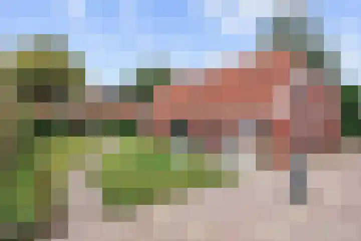 Costerijweg 2 Siddeburen thumbnail 54