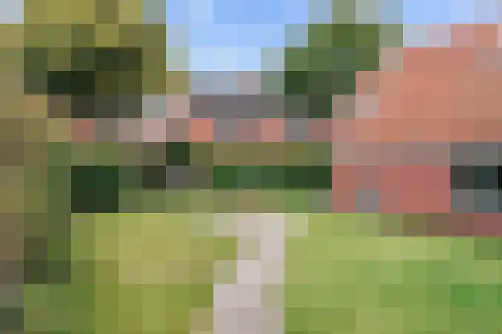 Costerijweg 2 Siddeburen thumbnail 55