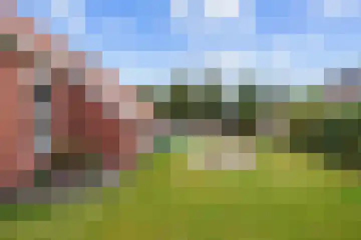 Costerijweg 2 Siddeburen thumbnail 58