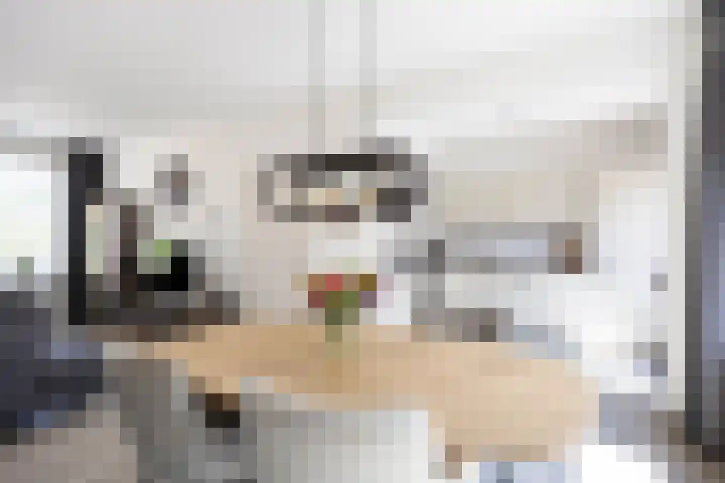 Costerijweg 33 Siddeburen thumbnail 16