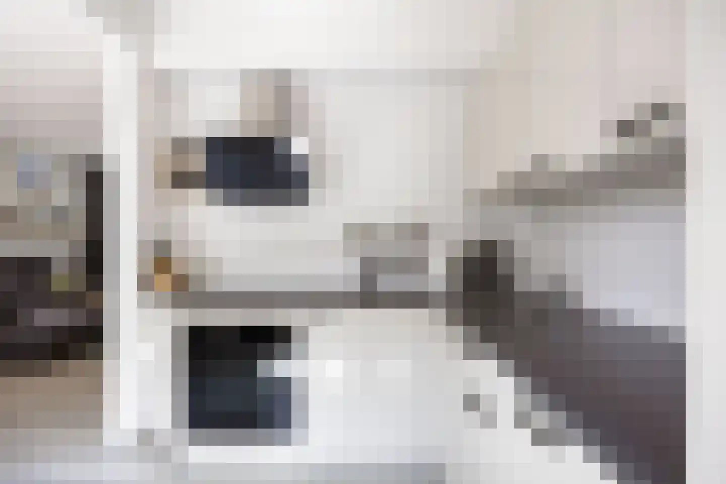 Costerijweg 33 Siddeburen thumbnail 18