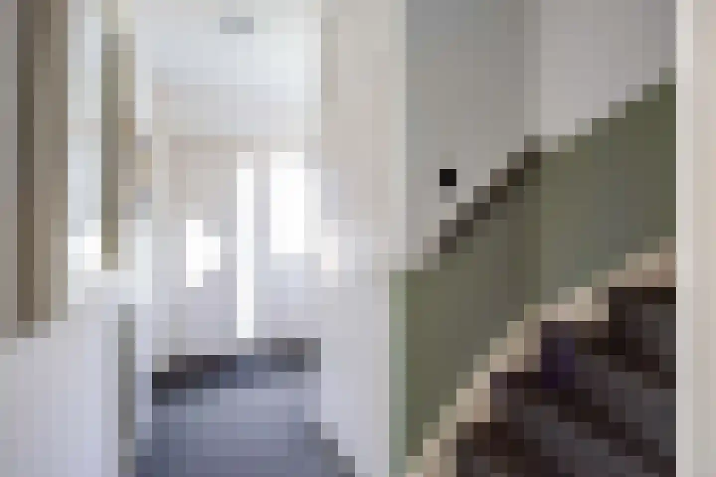Costerijweg 33 Siddeburen thumbnail 4