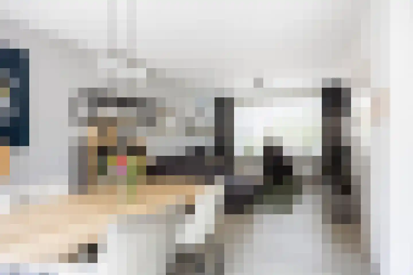 Costerijweg 33 Siddeburen thumbnail 8