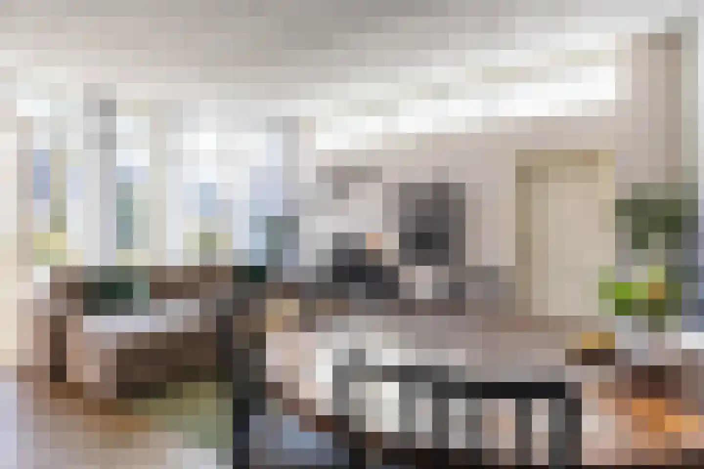 Costerijweg 39 Siddeburen thumbnail 18