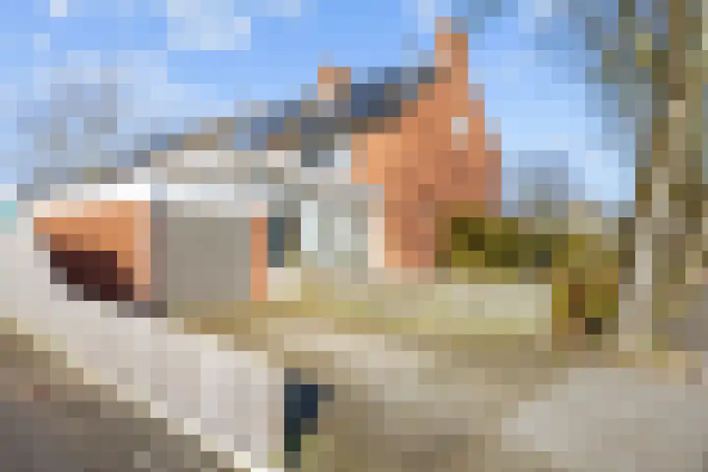 Costerijweg 39 Siddeburen thumbnail 43