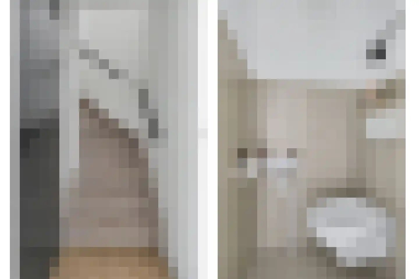 Costerlaan 1 Vlijmen thumbnail 13