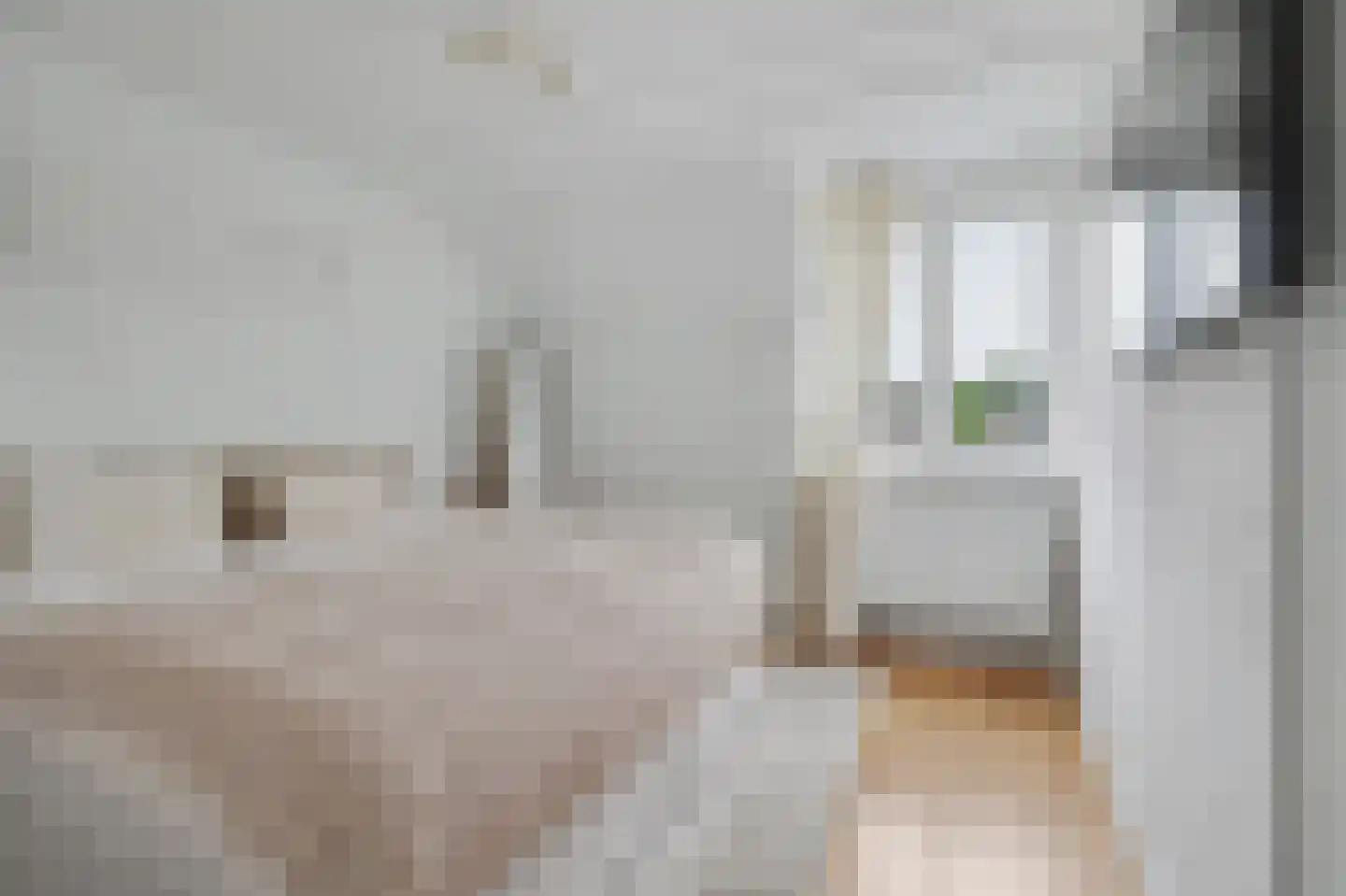 Costerlaan 1 Vlijmen thumbnail 16