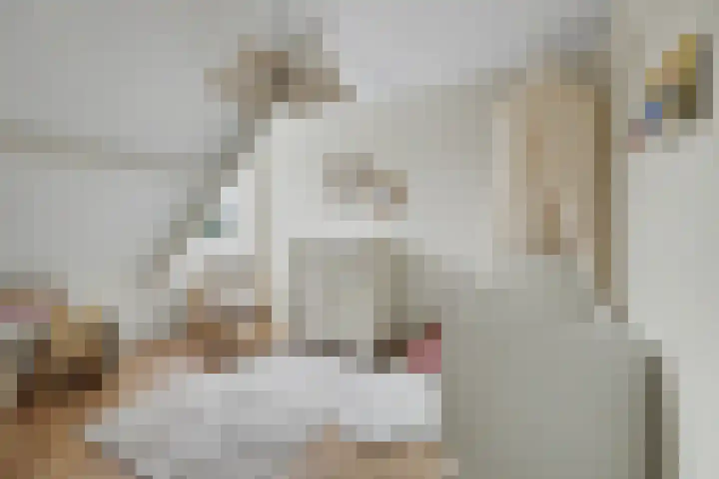 Costerlaan 1 Vlijmen thumbnail 17