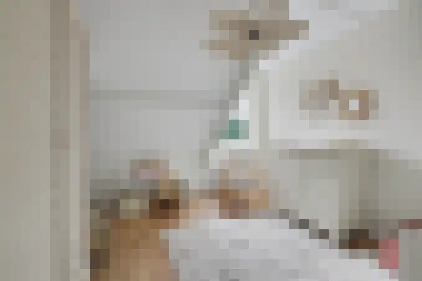 Costerlaan 1 Vlijmen thumbnail 18