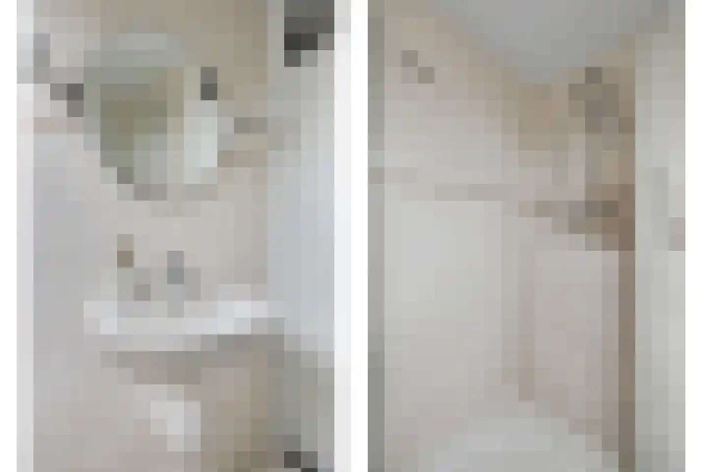 Costerlaan 1 Vlijmen thumbnail 21