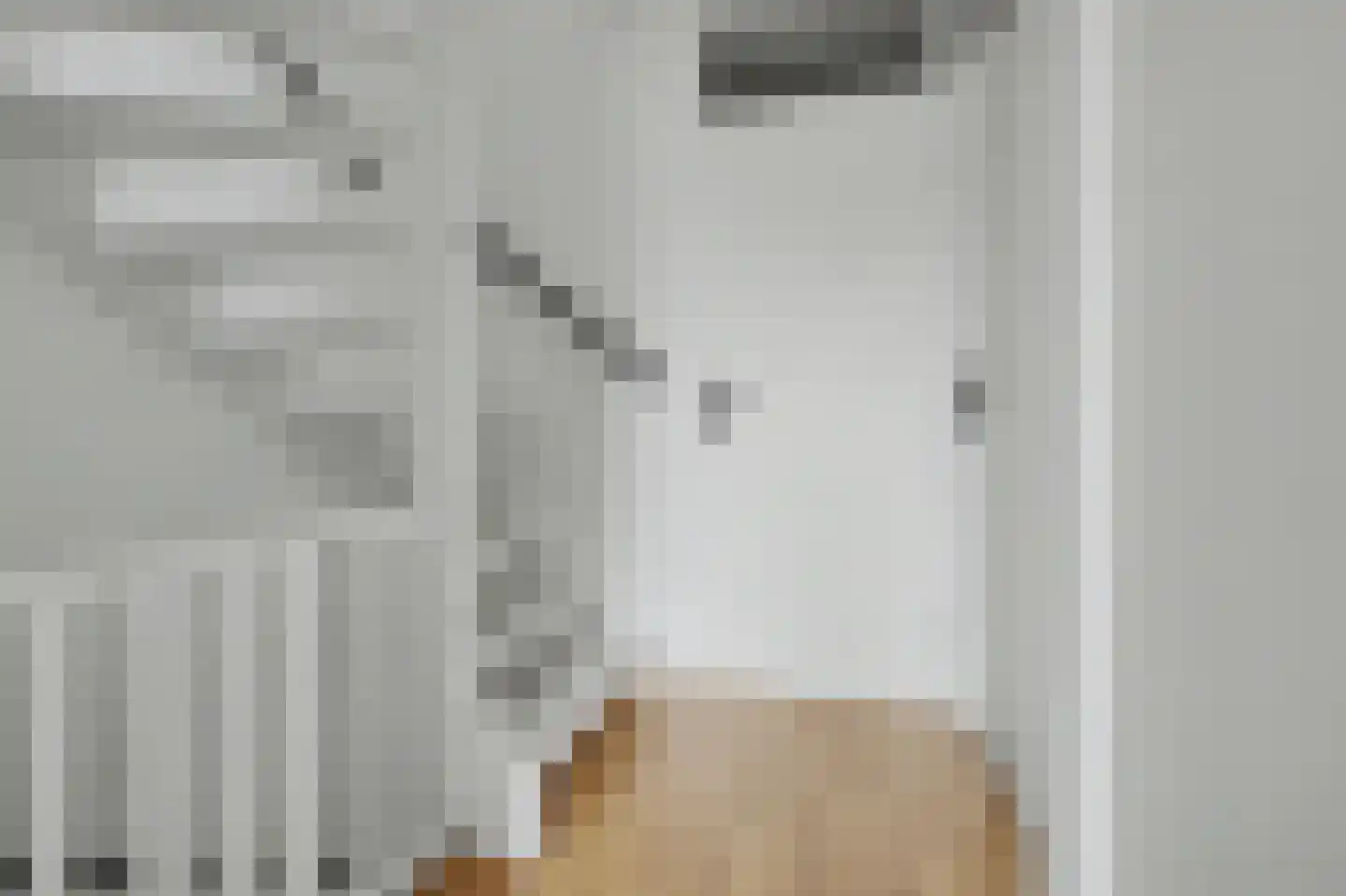 Costerlaan 1 Vlijmen thumbnail 23