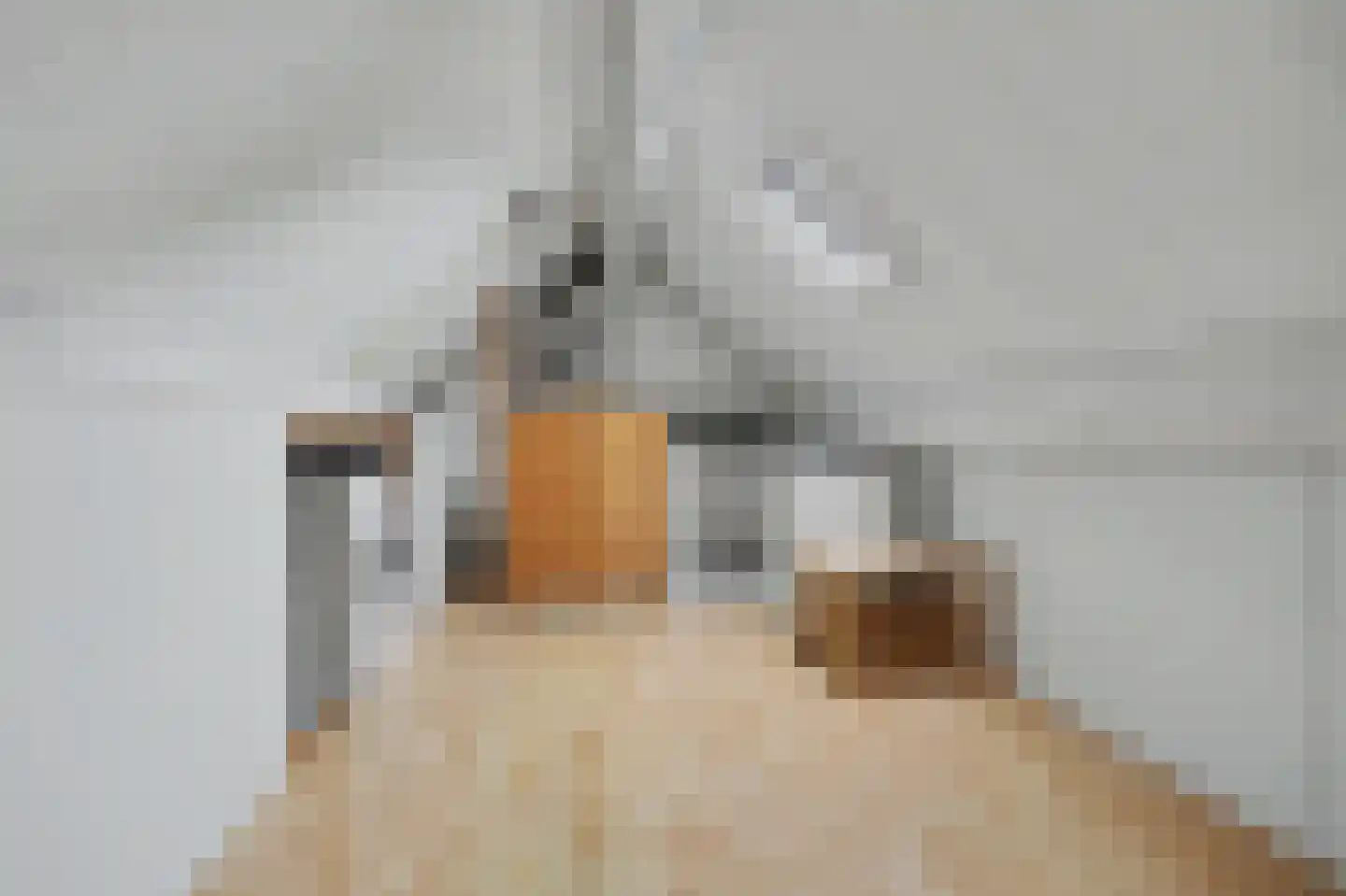 Costerlaan 1 Vlijmen thumbnail 25