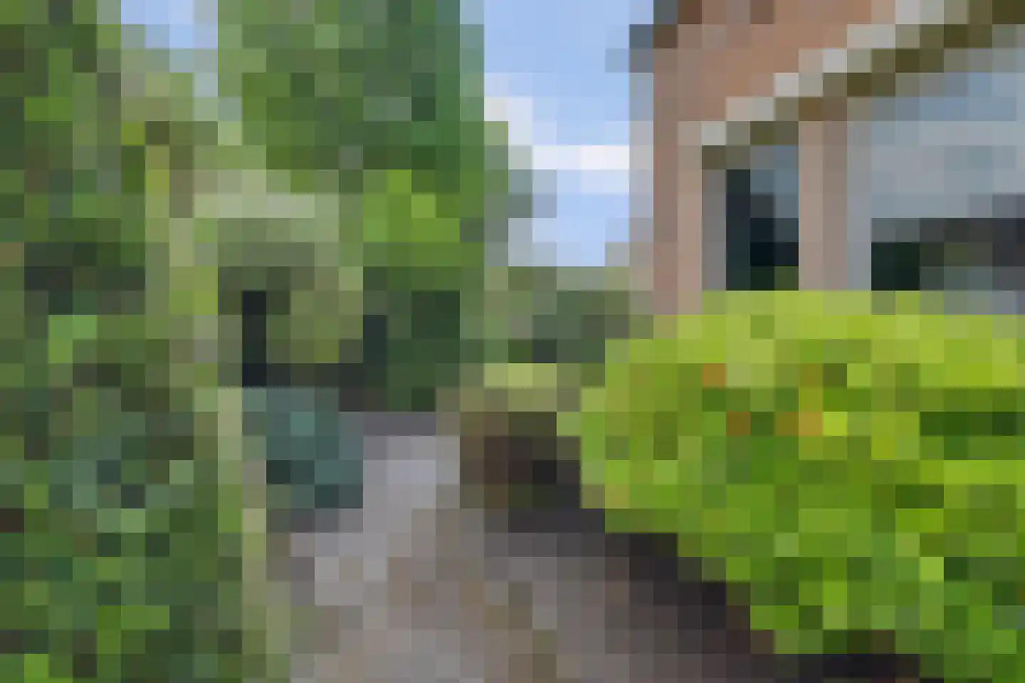 Costerlaan 1 Vlijmen thumbnail 33