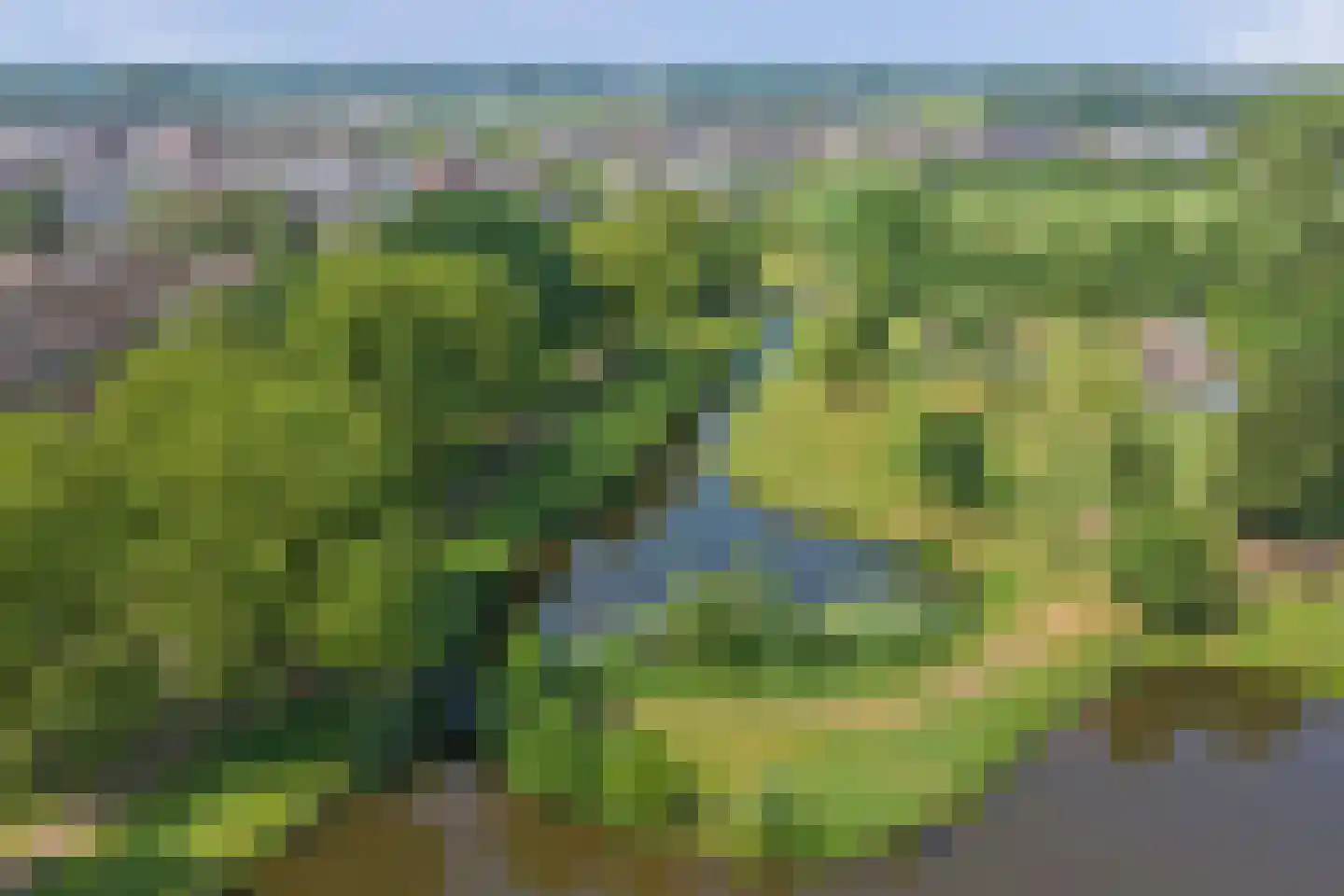 Costerlaan 1 Vlijmen thumbnail 41