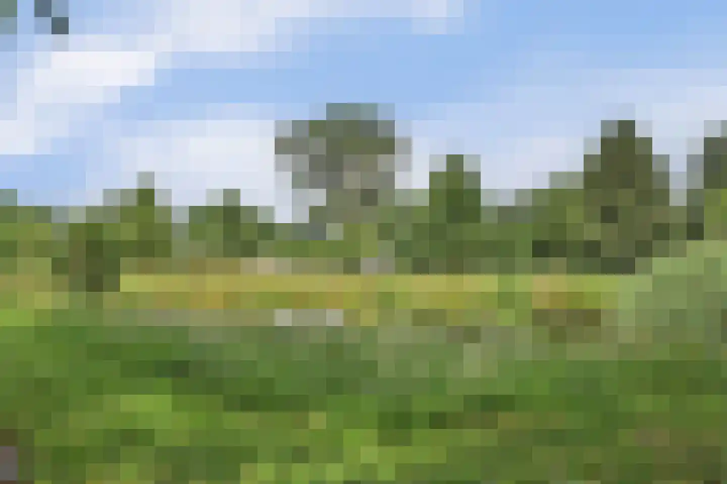 Costerlaan 1 Vlijmen thumbnail 43