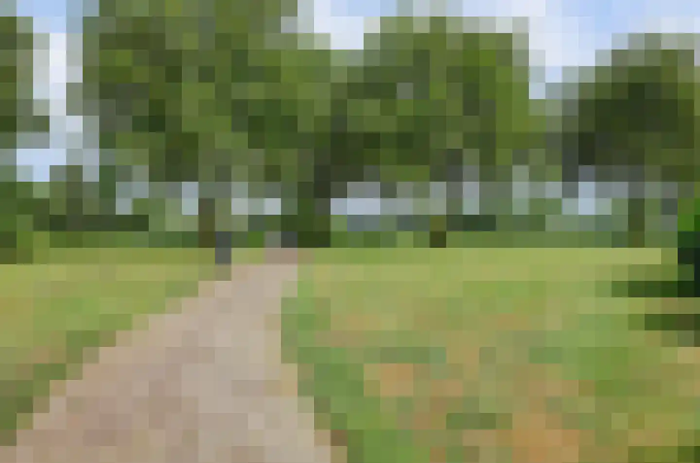 Costerlaan 1 Vlijmen thumbnail 44