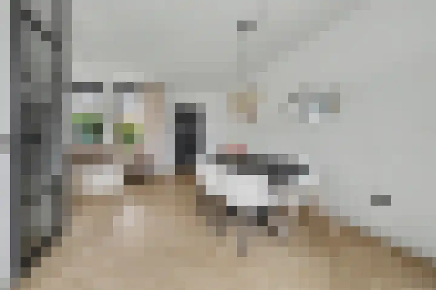 Costerlaan 1 Vlijmen thumbnail 6