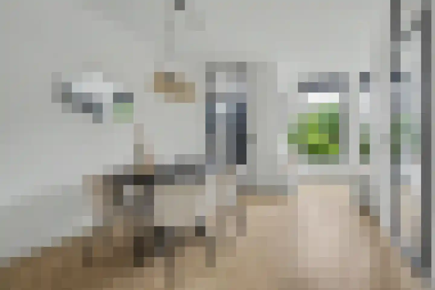 Costerlaan 1 Vlijmen thumbnail 7