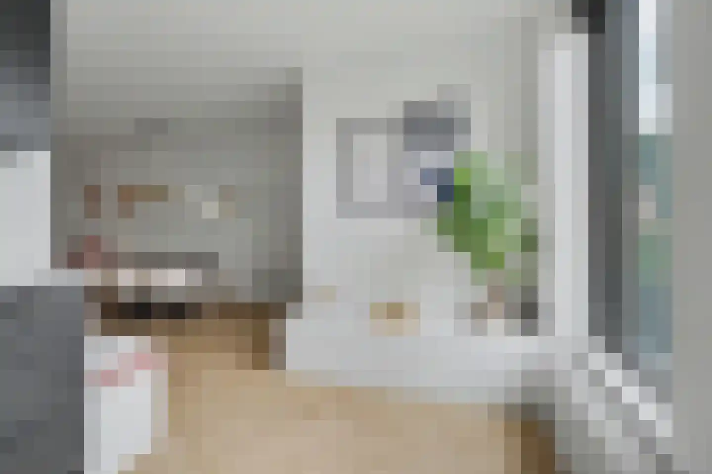 Costerlaan 1 Vlijmen thumbnail 8