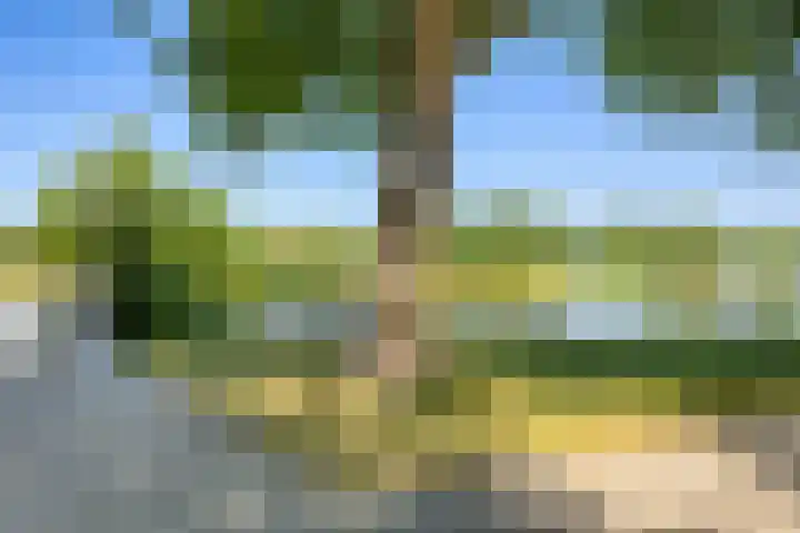 Costerlaan 17 Vlijmen thumbnail 6