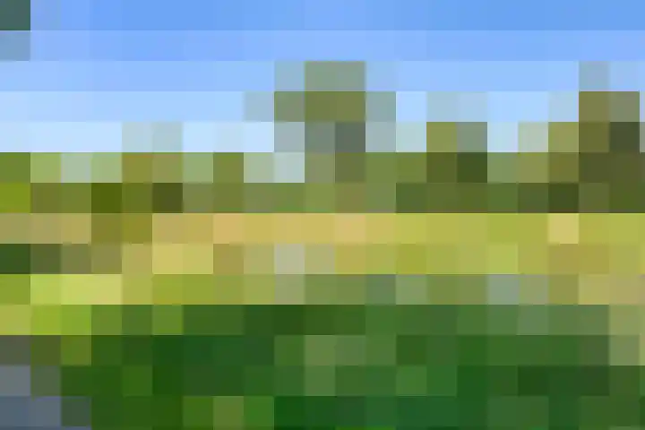 Costerlaan 17 Vlijmen thumbnail 7