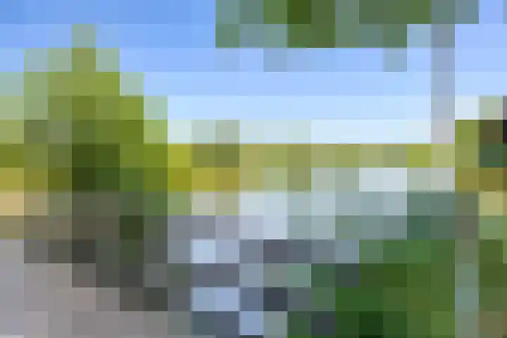 Costerlaan 17 Vlijmen thumbnail 8