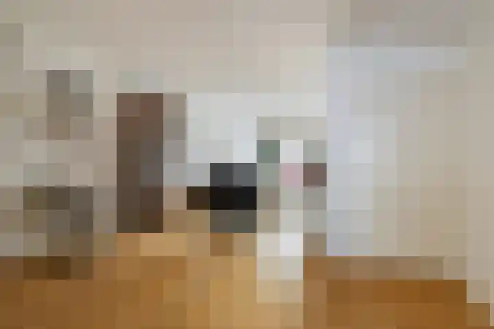 Costerlaan 2 A Zeist thumbnail 10
