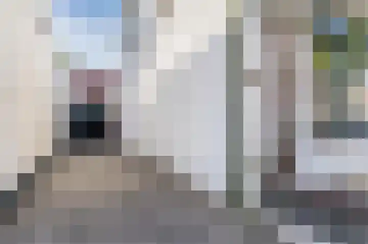Costerlaan 2 B Zeist thumbnail 4