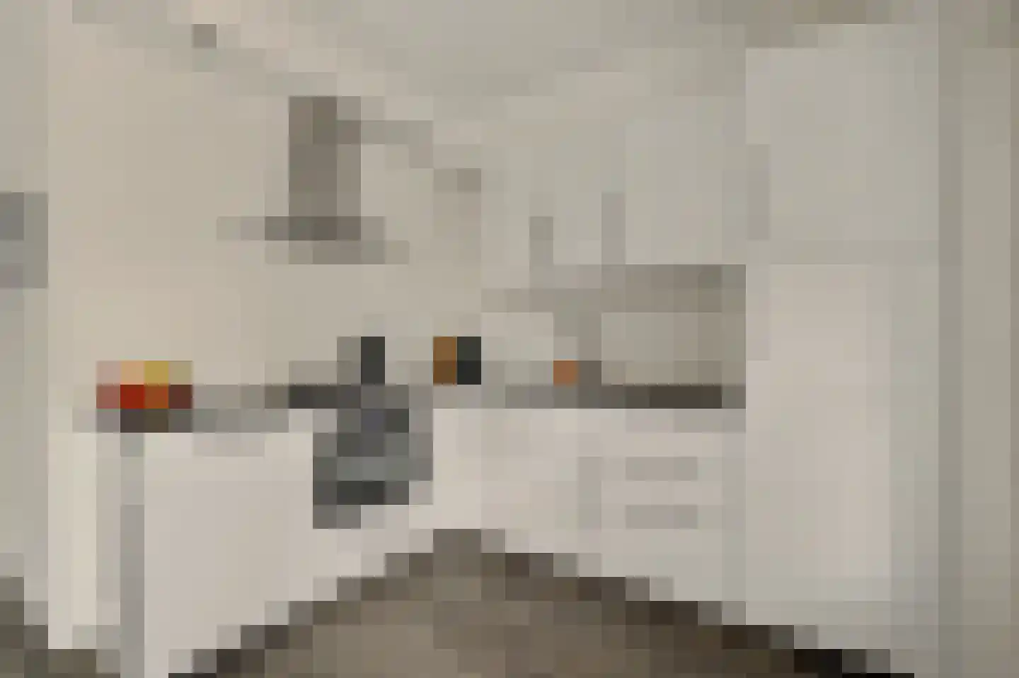 Costerlaan 27 Vlijmen thumbnail 10