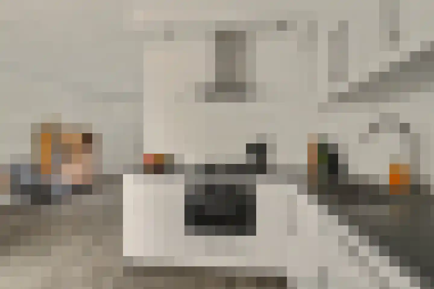 Costerlaan 27 Vlijmen thumbnail 11