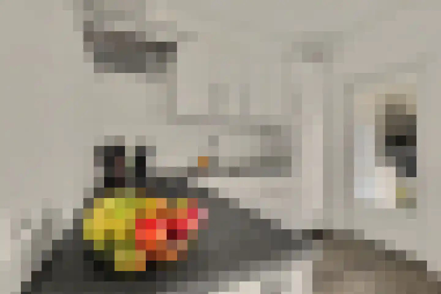 Costerlaan 27 Vlijmen thumbnail 12