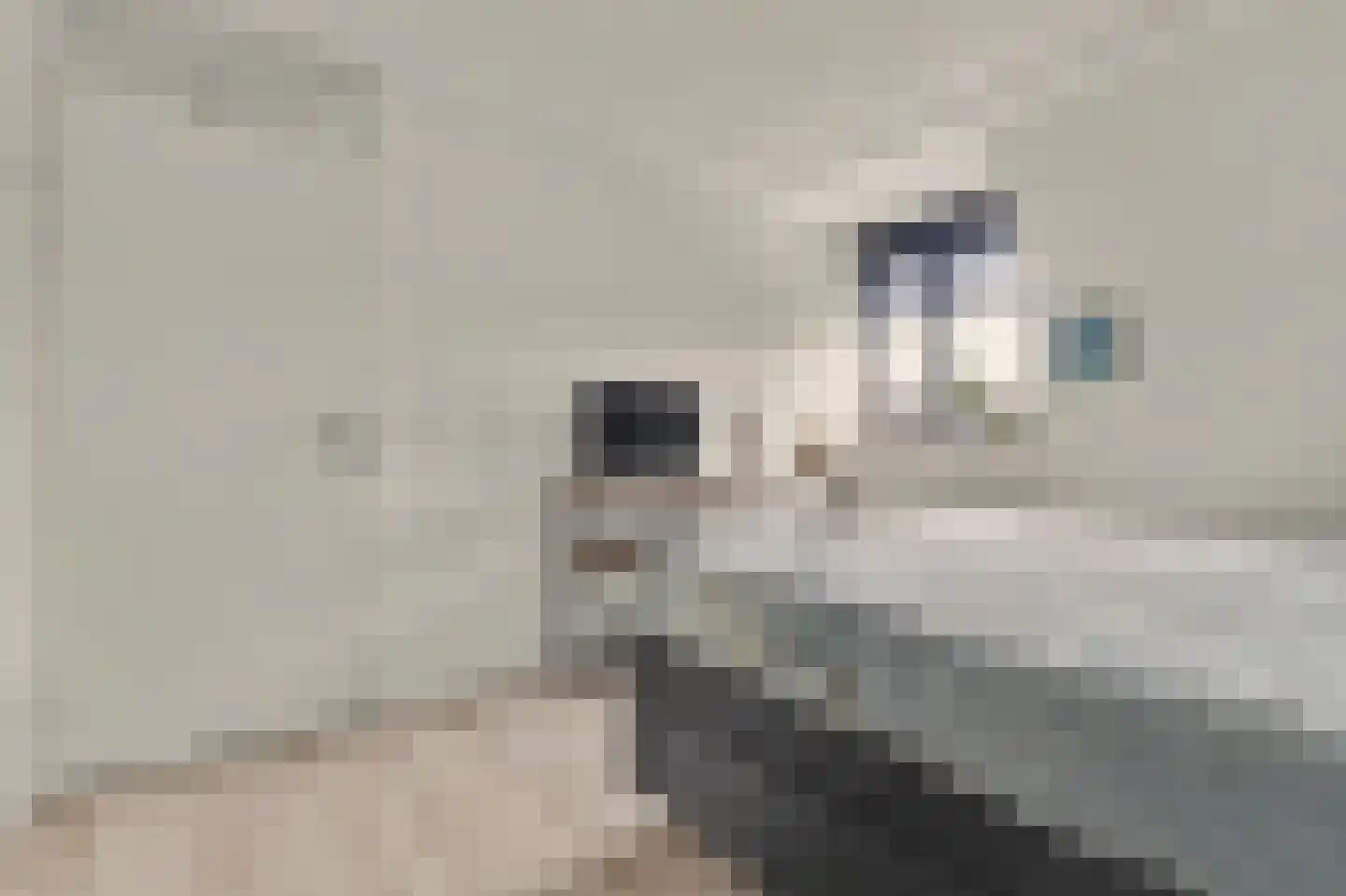Costerlaan 27 Vlijmen thumbnail 17