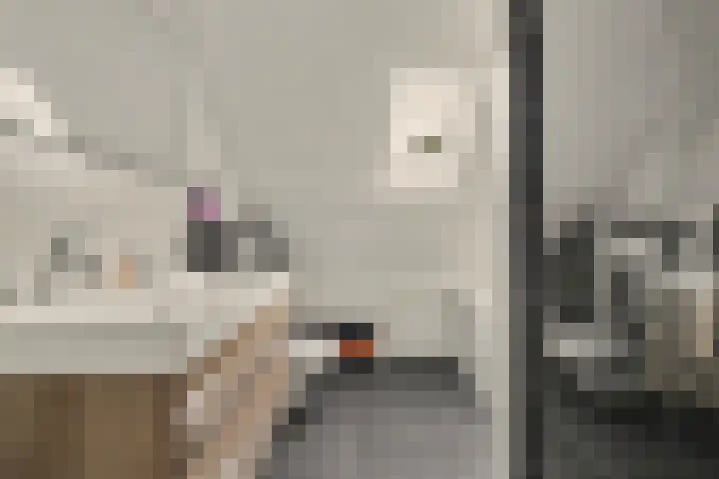 Costerlaan 27 Vlijmen thumbnail 19