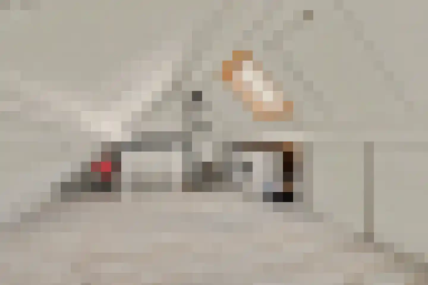 Costerlaan 27 Vlijmen thumbnail 30