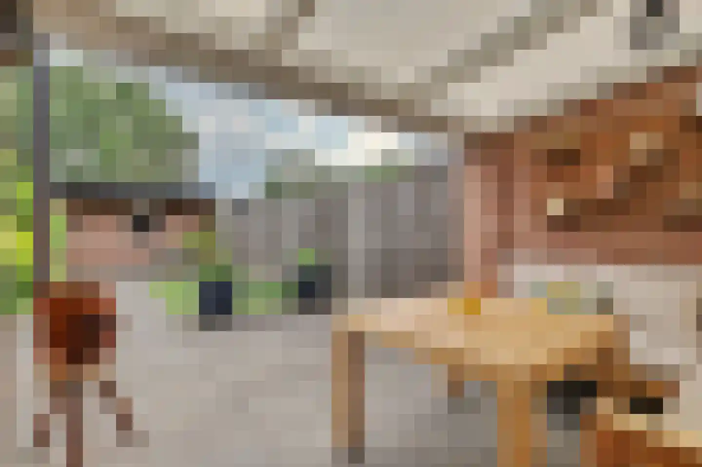 Costerlaan 27 Vlijmen thumbnail 32