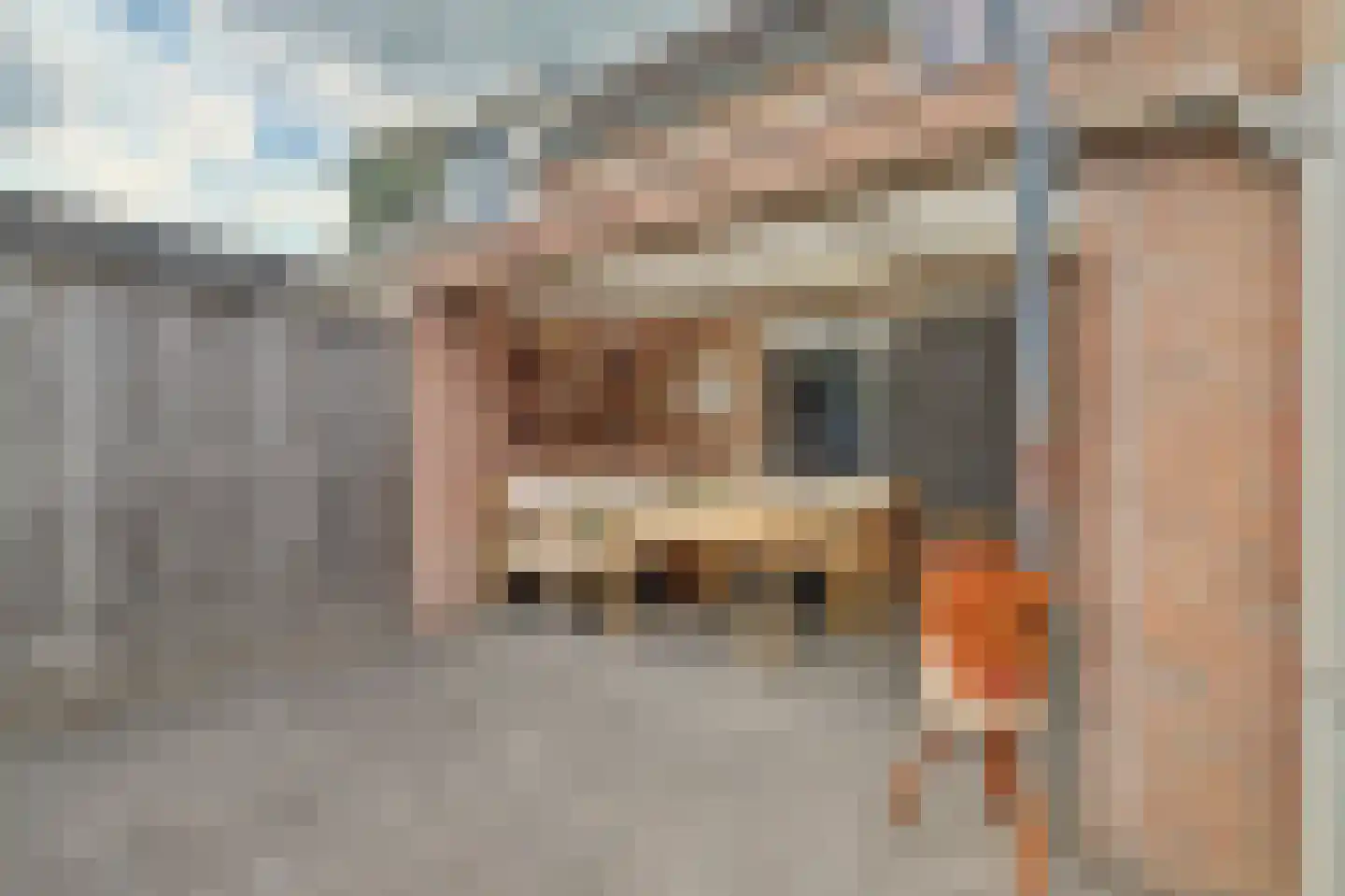 Costerlaan 27 Vlijmen thumbnail 33