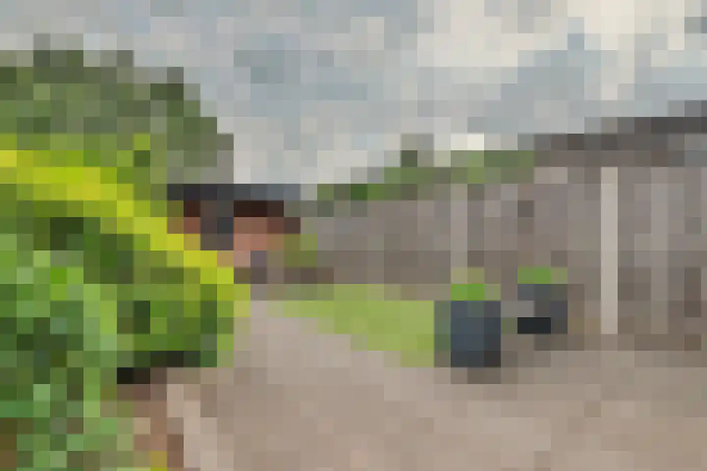 Costerlaan 27 Vlijmen thumbnail 35